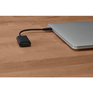 Câble A/V Port - 2 m DisplayPort - pour Périphérique audio/vidéo - 1er bout: Audio/Vidéo numérique DisplayPort - 2e bout: 