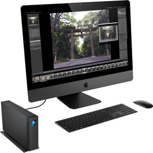 LaCie d2 Professional STHA10000800 10 TB Desktop Hard Drive - 3.5" External - USB 3.1 Type C - Retail
