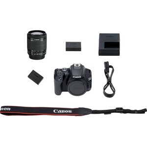 Canon EOS 250D 24.1 Megapixel Digital SLR Camera with Lens - 18 mm - 55 mm - Black - Autofocus - 7.6 cm (3") Touchscreen L