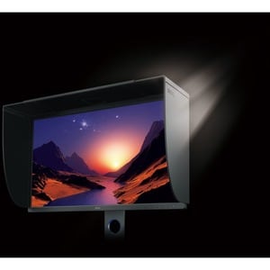 BenQ Photographer SW321C 32" Class 4K LCD Monitor - 16:9 - Grey - 81.3 cm (32") Viewable - In-plane Switching (IPS) Techno