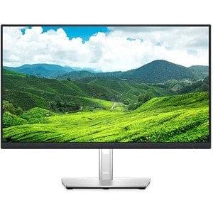 DELL 24 MONITOR - P2422H 60.5CM (23.8)