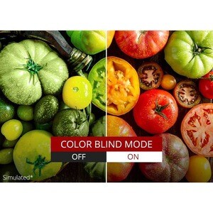 ViewSonic ColorPro VP3256-4K 32" Class 4K UHD LED Monitor - 16:9 - Black - 80 cm (31.5") Viewable - In-plane Switching (IP