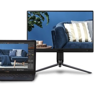 Asus ZenScreen MB166C 16" Class Full HD LCD Monitor - 16:9 - Black - 15.6" Viewable - In-plane Switching (IPS) Technology 