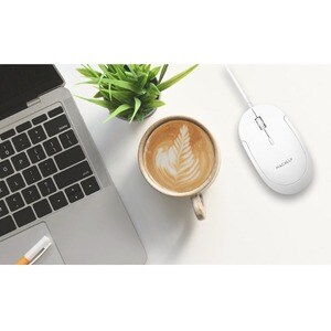 Macally USB-C Optical Quiet Click Mouse for Mac/PC White (UCDYNAMOUSEW) - Optical - Cable - White, Silver - USB Type C - 2