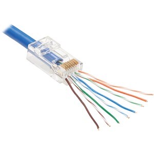Tripp Lite series N232-050-UTP Netzwerkanschluss - 50 - TAA-konform - Glasklar