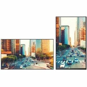 Vestel WY55B/2H 1397 mm LCD Digital Signage Display - 24 Hours/7 Days Operation - In-plane Switching (IPS) Technology - 19