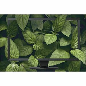EIZO ColorEdge CS2400S 24" Class WUXGA LED Monitor - 16:10 - Black - 61.2 cm (24.1") Viewable - In-plane Switching (IPS) T