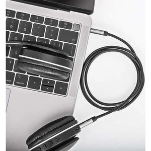 Manhattan 355995 2m AUX Cable de audio - Cable for Dispositivo de audio, Sistema del Sonido, Auricular, Altavoz, Smartphon