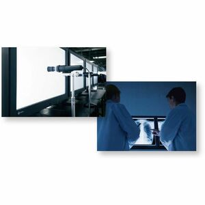 EIZO RadiForce MX317W-BK 31" Class 4K LED Monitor - 17:9 - Black - 30.5" Viewable - In-plane Switching (IPS) Technology - 