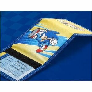 ESTUCHE PROTECTOR SWITCH SONIC KICK
