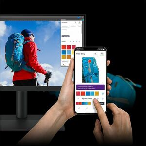 BenQ Photographer SW242Q 24" Class WQXGA LED Monitor - 16:10 - 24.1" Viewable - In-plane Switching (IPS) Technology - LED 