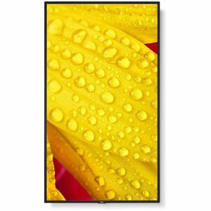 NEC Display MultiSync M431-2 1092,20 mm LCD Digital-Signage-Display - 24 Stunden/7 Tage Betrieb - Energy Star - IPS-Techno