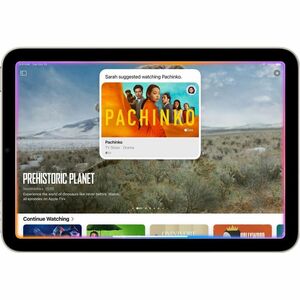 Apple iPad mini (2024) A2996 平板 - 21.1 cm (8.3") - Apple A17 Pro (3 nm) 六核 - 8 GB - 128 GB 存储 - 5G - 星光色 - 双核（2 个核心） 3.78 
