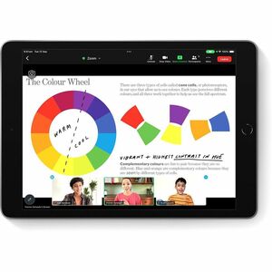 iPad mini Wi-Fi + Cellular 256GB - Space Grey