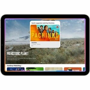 IPAD MINI WI-FI + CELL 256GB STARLIGHT