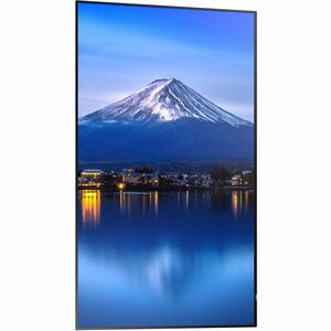 Sharp NEC Display MultiSync P556 1386,84 mm LCD Digital-Signage-Display - 24 Stunden/7 Tage Betrieb - Energy Star - IPS-Te