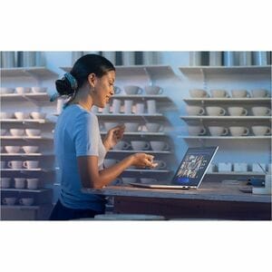 HP ProBook 4 G1iR 35.6 cm (14") Notebook - WUXGA - 60 Hz - Intel Core 5 120U - 16 GB - 256 GB SSD - Pike Silver - Intel Ch