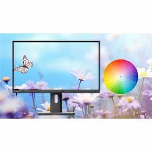 Hannspree EB241CJB 24" Class Full HD LED Monitor - 16:9 - 60.5 cm (23.8") Viewable - Twisted nematic (TN) - LED Backlight 