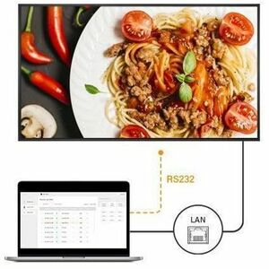 AG Neovo QM5503 1386,84 mm LCD Digital-Signage-Display - 24 Stunden/7 Tage Betrieb - Vertical-Alignment-Technologie (VA) -