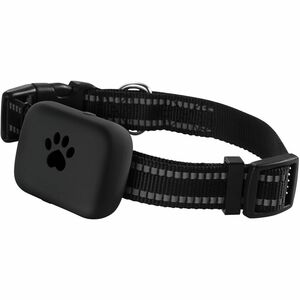 Carneo DogSAFE+ GPS