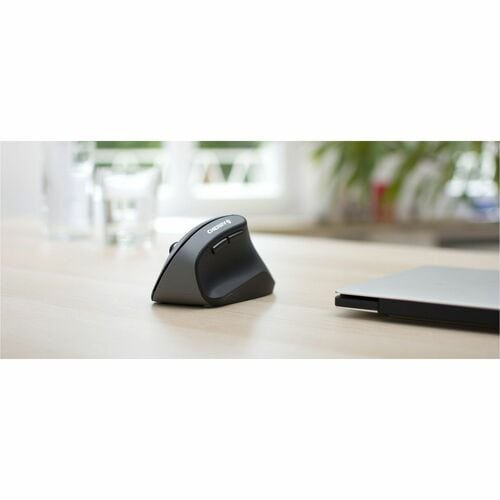CHERRY MW 4500 Mouse - Radio Frequency - USB - Optical - 6 Button(s) - Black - 1 Each - Wireless - 2.40 GHz - 1200 dpi - S