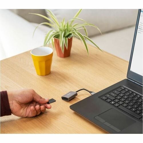 Trust Dalyx Flash Reader - USB 3.2 (Gen 1) Type A - External - 104 MB/s - SDHC, SDXC, SD