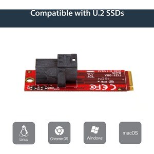 StarTech.com U.2 to M.2 Adapter for U.2 NVMe SSD - M.2 PCIe x4 Host Interface - U.2 SSD SFF-8643 Adapter - M2 PCIe Adapter