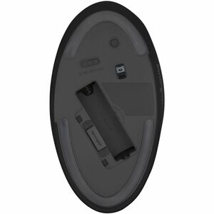 Souris Kensington Pro Fit - Bluetooth/Radio Fréquence - USB - 5 Bouton(s) - Noir - Sans fil - 2,40 GHz - 1600 dpi