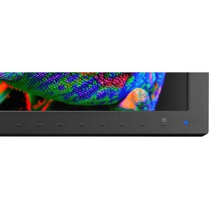 NEC Display MultiSync PA311D-BK 31" Class 4K LCD Monitor - 17:9 - Black - 31.1" Viewable - In-plane Switching (IPS) Techno