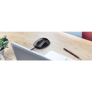 Trust Carve Maus - USB Typ-A - Optisch - 3 Taste(n) - Schwarz - Kabel - 1200 dpi Auflösung - Scroll-Rad - Symmetrisch