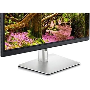 Dell UltraSharp UP3221Q 32" Class 4K UHD LCD Monitor - 16:9 - Black - 31.5" Viewable - In-plane Switching (IPS) Black Tech