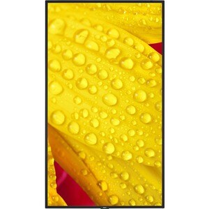NEC Display 43" Ultra High Definition Commercial Display - 43" LCD - High Dynamic Range (HDR) - 3840 x 2160 - Direct LED -
