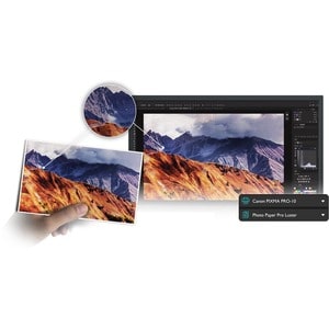 BenQ Photographer SW321C 32" Class 4K LCD Monitor - 16:9 - Grey - 81.3 cm (32") Viewable - In-plane Switching (IPS) Techno