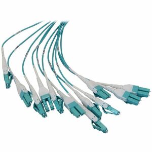 Eaton Tripp Lite Series Preloaded Fiber Panel, 1U - 2x (12x LC/LC Duplex M/M) 24F Trunk Cables, OM4 Multimode, 10 m (32.8 