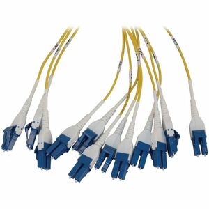 Eaton Tripp Lite Series Preloaded Fiber Panel, 1U - 2x (12x LC/LC Duplex M/M) 24F Trunk Cables, OS2 Singlemode, 10 m (32.8