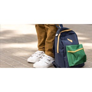 BELKIN SECURE HOLDER WITH STRAP BLACK