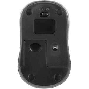 Targus AMW600 鼠标 - 无线电频率 - USB - 光学 - 黑 - 无线 - 2.40 GHz - 1600 dpi - 1 x AA Battery Supported