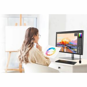 BenQ DesignVue PD2506Q 25" Class WQHD LED Monitor - 16:9 - 63.5 cm (25") Viewable - In-plane Switching (IPS) Technology - 