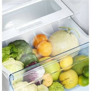 253LTR REFRIGERATOR -