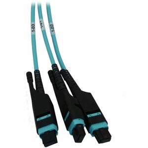 Tripp Lite series N48M-4M3X8M-10Network Patch Panel - Aqua - 1U High - 19" Wide - Rack-mountable