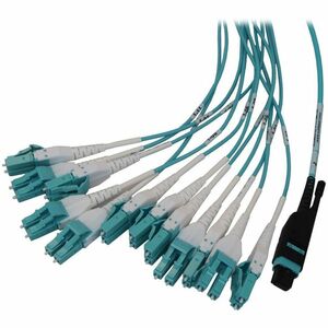 Tripp Lite series N48M-2M24L12-10Network Patch Panel - Aqua - 12 x Duplex - 1U High - 19" Wide - Rack-mountable