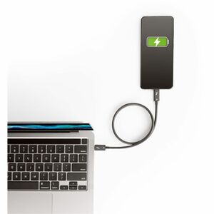 StarTech.com 1.6ft/50cm Thunderbolt 4 Cable, 40Gbps, 100W PD, 4K/8K Video, Intel-Certified, Compatible w/Thunderbolt 3/USB