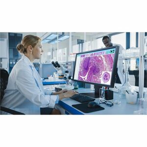 EIZO RadiForce MX317W-BK 31" Class 4K LED Monitor - 17:9 - Black - 30.5" Viewable - In-plane Switching (IPS) Technology - 