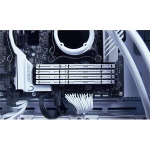 Kingston FURY Beast 32GB (2 x 16GB) DDR5 SDRAM Memory Kit - 32 GB (2 x 16GB) - DDR5-6000/PC5-48000 DDR5 SDRAM - 6000 MHz D
