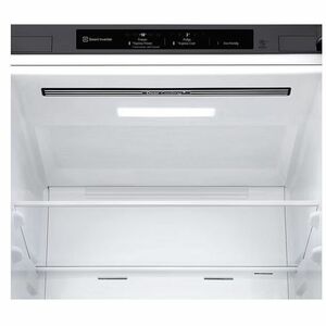 Congelatore/Freezer LG NatureFRESH GBP62DSSGR 384 L - Installazione libera - Acciaio inox - Digital Inverter Compressor - 