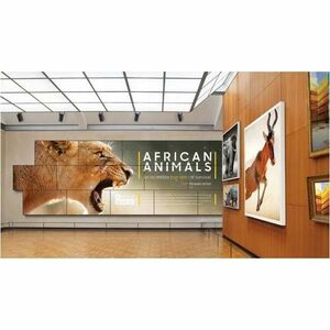 Samsung VH55R-R Digital Signage Display - 55" LCD - In-plane Switching (IPS) Technology - 24 Hours/7 Days Operation - 1920