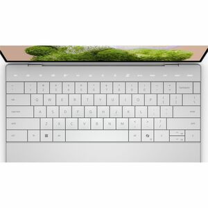 Dell XPS 13 9000 9350 34 cm (13.4") Notebook - Full HD Plus - Intel Core Ultra 7 256V - Intel Evo Platform - 16 GB - 512 G
