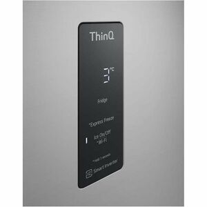 Congelatore/Freezer LG GTBV44PYBKD 461 L - Installazione libera - Argento - Digital Inverter Compressor - Smart Connect - 