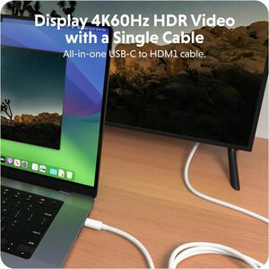 HyperDrive HD6007BKGL 2.50 m HDMI/USB-C A/V Cable - Cable for Audio/Video Device, USB Device, Monitor, Smartphone, Tablet,