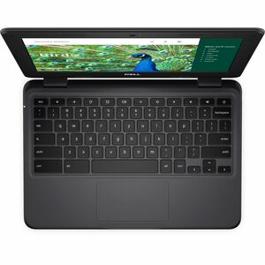 Dell Chromebook 3000 3120 11.6" Touchscreen Clamshell Chromebook - HD - Intel N-Series N100 - 4 GB - 64 GB Flash Memory - 